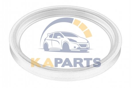 47 97 000 04R RENAULT Шайба