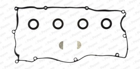 HM5374 Payen Комплект прокладок клап.кришки