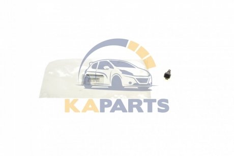 289309708R RENAULT Форсуки омивача 876M