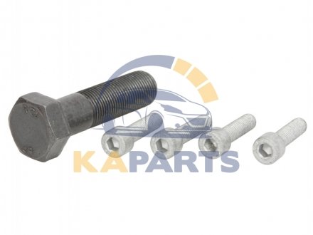 Болты кріпл. кривошипа комп-кт 80001246