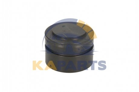 Поршень 1 460 521 303