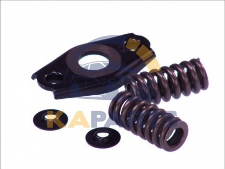 1 467 010 495 BOSCH Плунжерна пара