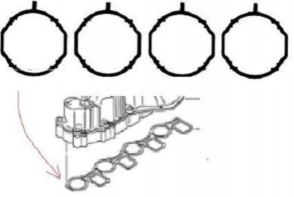HA5069 Payen Прокладка впускного колектора
