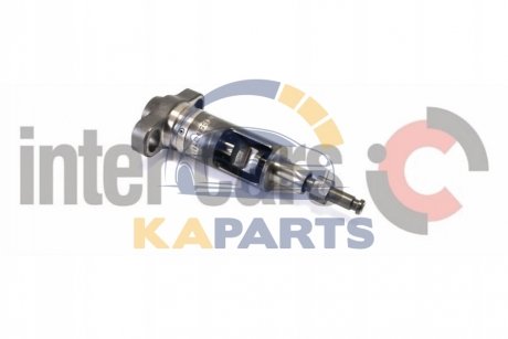 Плунжерна пара 2 418 425 981