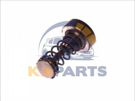 Елемент насосу Common Rail F 01M 101 355