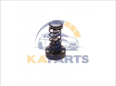 Плунжерна пара F 01M 101 347