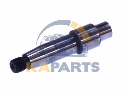F 00R 0P1 118 BOSCH Елемент насосу Common Rail