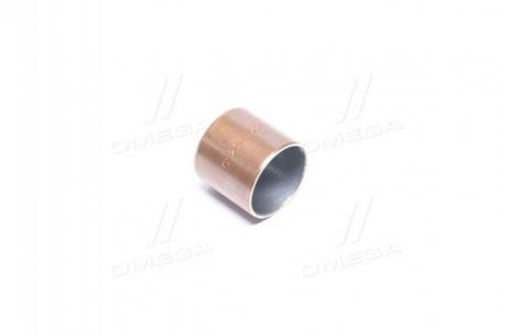 F 00N 200 545 BOSCH Елемент насосу Common Rail