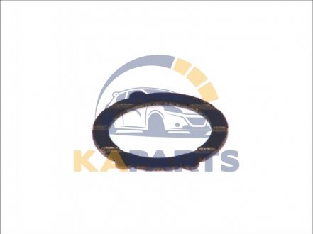 F 00N 200 065 BOSCH Пускове кільце