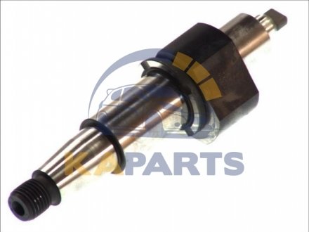 F 00N 202 983 BOSCH Елемент насосу Common Rail