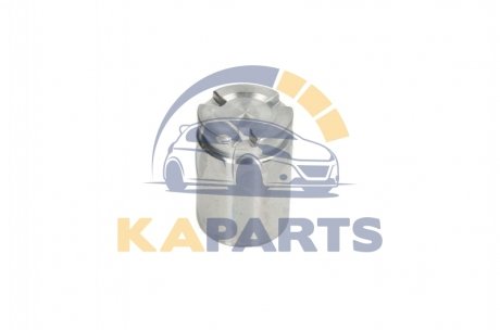 D0-25602 AUTOFREN Поршень супорта зад. Astra K/Kadjar 15-/Qashqai 14- (36x51,8mm)(TRW)