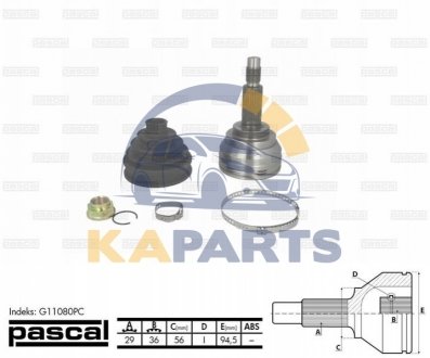 G11080PC PASCAL Шарнір привідного вала