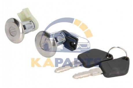 6010-08-003425P BLIC Элемент замка кабіни