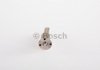 0 433 171 495 BOSCH Форсунка Common Rail (фото 2)