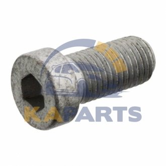 103448 FEBI BILSTEIN Шестигранні болти