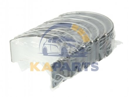 021 PS 20002 025 MAHLE / KNECHT Підшипники ковзання шатунні