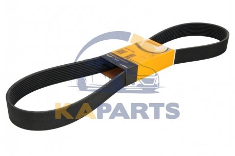 10 PK 1235 Contitech Доріжковий ремень