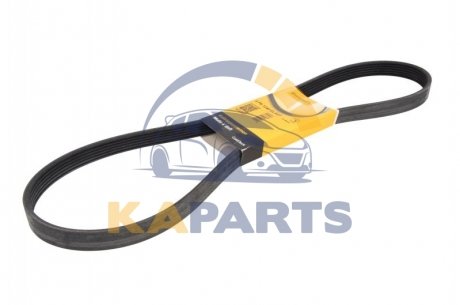 6PK1240 ELAST Contitech Пас поліклиновий Ford Focus 1.8/2.0 04-12