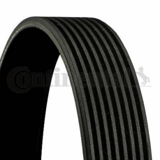8 PK 1165 Contitech Доріжковий ремень