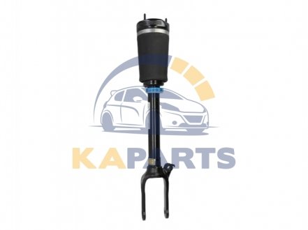 44-165062 BILSTEIN Амортизатор підвіски