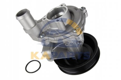 D1G056TT THERMOTEC Водяна помпа