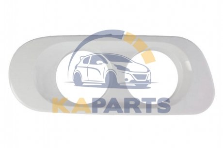 DAF-FH-001R PACOL Корпус фары
