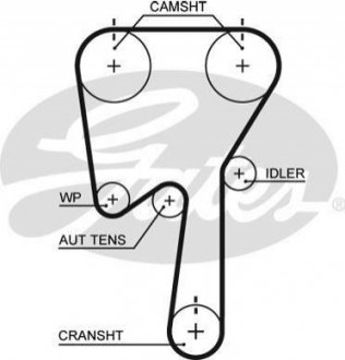 5509XS Gates Ремінь ГРМ