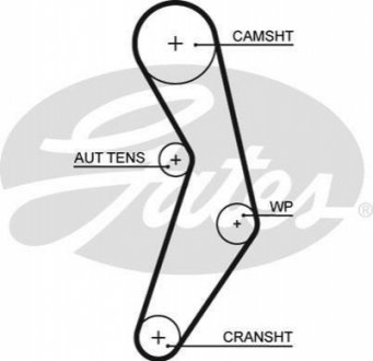 5503XS Gates Ремінь ГРМ