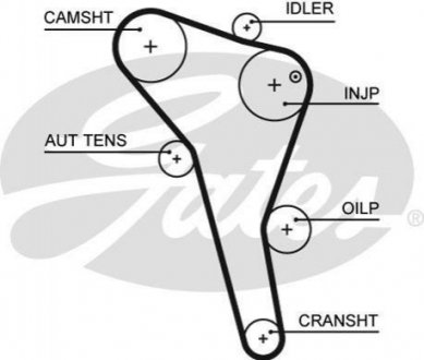 5622XS Gates Ремень ГРМ