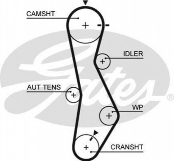 5579XS Gates Ремінь ГРМ