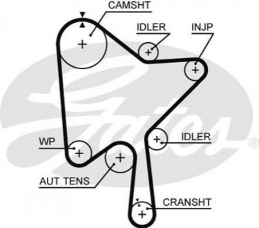5686XS Gates Ремень ГРМ