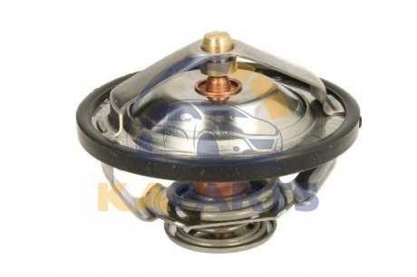 D2CA009TT THERMOTEC Термостат