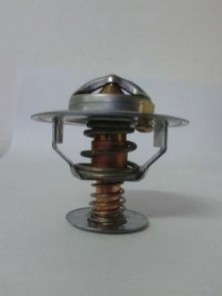D2CA002TT THERMOTEC Термостат