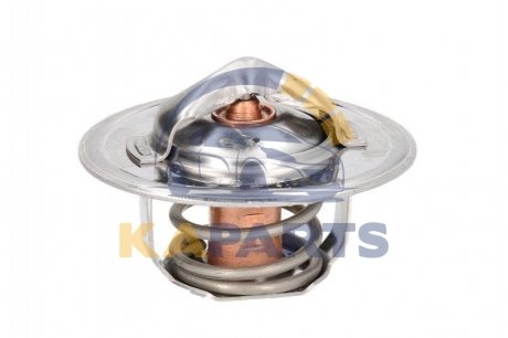D2FO001TT THERMOTEC Термостат