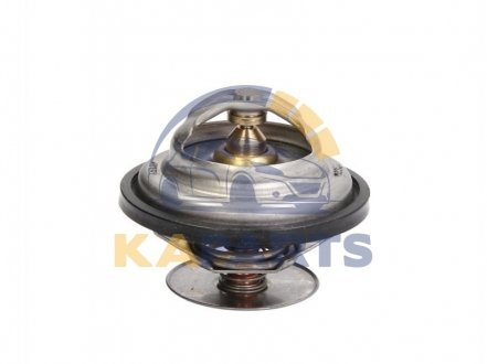 D2ZE002TT THERMOTEC Термостат