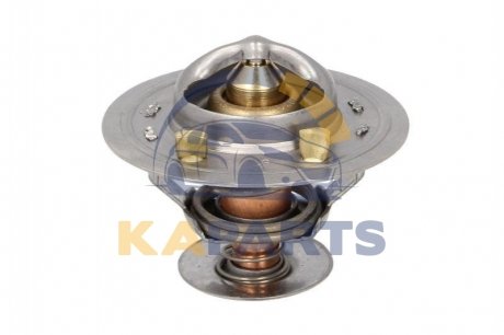 D2CU004TT THERMOTEC Термостат