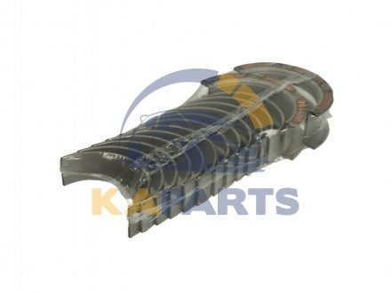 227 HS 20671 000 MAHLE / KNECHT Вкладиші корінні MAN D0826