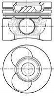 8774310000 NURAL Поршень в комплекті на 1 циліндр, STD