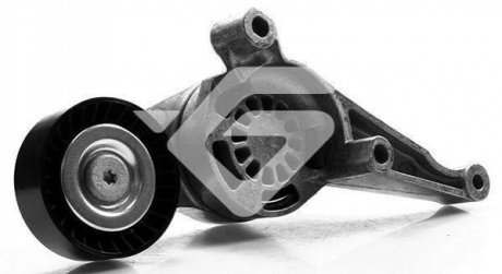 T0260 HUTCHINSON Ролик натяжной 1,9/2,0 TDI VW Golf (06-10), Passat (05-10), Caddy (04-10) (T0260) Hutchinson