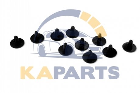 55327 ASAM Заклепка ковролина комплект (10 шт) RENAULT (55327) ASAM