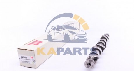 Вал розподілч. VW Caddy II/Golf IV 1.9 TDI 96-06 647060