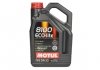 839551 MOTUL Масло MOTUL 8100 Eco-lite SAE 5W30 5 L (фото 1)