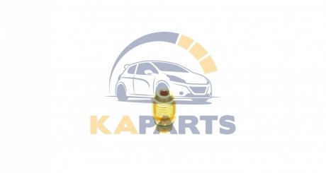 007950025790 MAGNETI MARELLI Аксесуари запр. стан. кондиц.