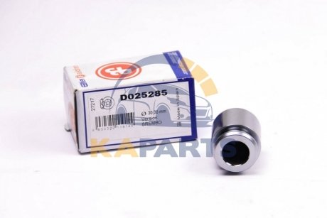 D025285 AUTOFREN Поршень супорта зад Audi Q7/Touareg 02-10 30x31,95