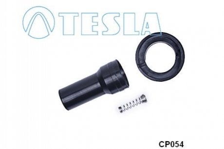 CP054 TESLA Вилка, котушка запалювання