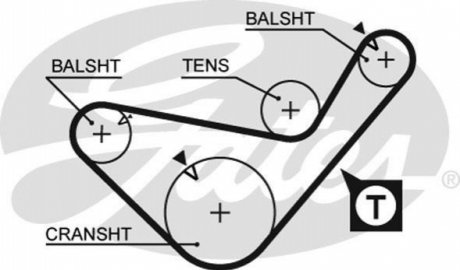 5436XS Gates Распределительный ремень