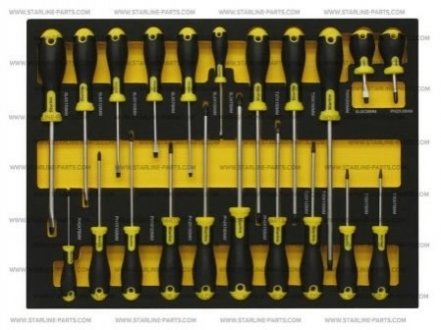 NR F1ETR26 STARLINE Набір викруток 21 пр.