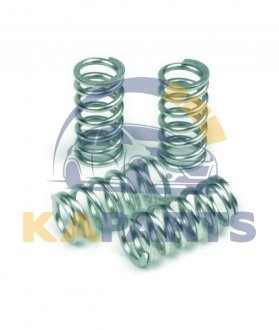 MEF117-6 TRW Пружини зчеплення
