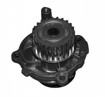 352316171209 MAGNETI MARELLI Водяна помпа