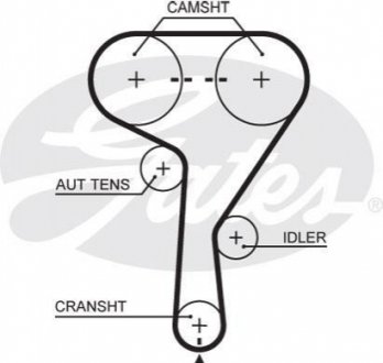 5603XS Gates Ремень ГРМ